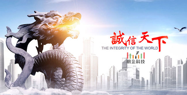做网站公司
